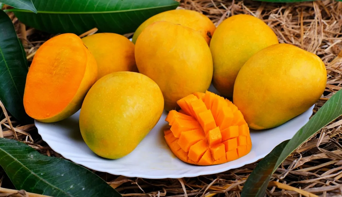 প্রতিদিন একটি আম: ৪টি স্বাস্থ্য উপকারিতা যা জানলে অবাক হবেন