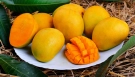 প্রতিদিন একটি আম: ৪টি স্বাস্থ্য উপকারিতা যা জানলে অবাক হবেন