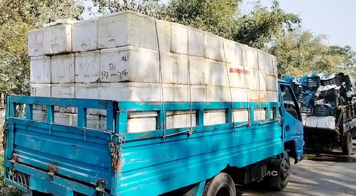 ভারতে মাছ রপ্তানি বন্ধ করলেন বাংলাদেশি ব্যবসায়ীরা