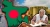 ড. ইউনুস পদত্যাগ করলে যে সংকটে পড়বে বাংলাদেশ