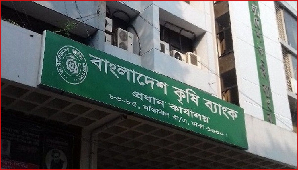 'কবর থেকে উঠে কৃষিঋণ, যা জানা গেল