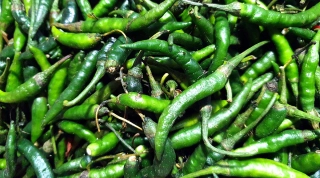 কাঁচামরিচের দাম কমলো কেজিতে ৭০ টাকা