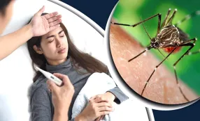 ৪ টি লক্ষণ দেখলে বুঝবেন আপনার চিকুনগুনিয়া হয়েছে