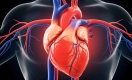 হার্ট ব্লকেজ আগে শরীরে ৬ টি সংকেত দেয়
