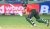 চলছে বাংলাদেশ বনাম আফগানিস্তান শেষ টি-টোয়েন্টি: লাইভ দেখুন এখানে