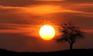 ডুবে গেছে সূর্য, টানা ২ মাস থাকবে টানা রাত