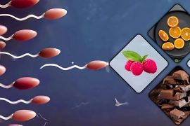 যেসব খাবার খেলে পুরুষের শুক্রাণু কমে, তালিকা দেখুন