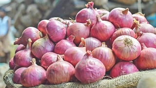 অবশেষে কমলো দেশি পেঁয়াজের দাম