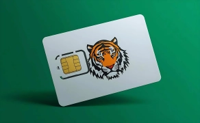 বাজারে আসছে নতুন ভয়েস বিহীন ডাটা সিম