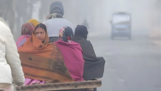 হাড়কাঁপানো শীত ও শৈত্যপ্রবাহ: ৭ জেলায় আবহাওয়া অফিসের বিশেষ বার্তা