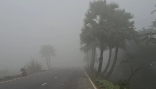 শৈত্যপ্রবাহের চরম সতর্কতা: বৃহস্পতিবার ৫ ডিগ্রিতে নামতে পারে যেসব এলাকায়