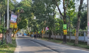 গাছের গায়ে পেরেক ঠুকলে জেল-জরিমানা