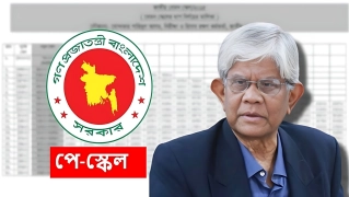 নতুন পে স্কেল নিয়ে যা বললেন উপদেষ্টা সালেহউদ্দিন আহমেদ