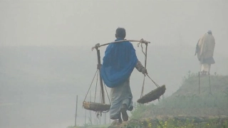 শীতের তীব্রতা আরও বাড়বে: যেসব জেলায় শৈত্যপ্রবাহ অব্যাহত থাকার পূর্বাভাস
