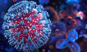 বাংলাদেশে নতুন প্রাণঘাতী ভাইরাস শনাক্ত