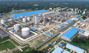 যমুনা সার কারখানা বন্ধ: ১৯ জেলায় সারের সংকট