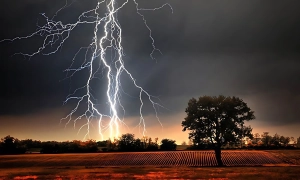 দেশের ৫ বিভাগে বজ্রবৃষ্টির আভাস