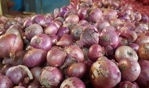 পেঁয়াজের বাজারে সুখবর: কমছে নিত্যপণ্যের দাম