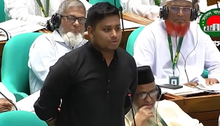 পে স্কেলের দাবিতে সংসদে যা বললেন হাসনাত আবদুল্লাহ