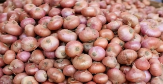 হিলিতে লাফিয়ে বাড়ল দেশি পেঁয়াজের দাম