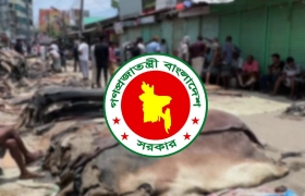 কোরবানির চামড়া নিয়ে বড় সুখবর