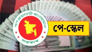 থেমে নেই নবম পে-স্কেলের কাজ, শেষ মুহূর্তে যেসব তথ্য চূড়ান্তের পথে