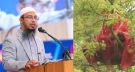 জ্বীনে ধরা নারীর তেতুল গাছের মগডালে ওঠা স্বাভাবিক নাকি পেছনে ভিন্ন কিছু