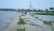দেশের ৫ জেলায় বন্যার সতর্কতা