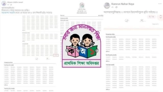 প্রাথমিক বৃত্তির ফল প্রকাশ, অনলাইন ও এসএমএসে যেভাবে জানবেন ফলাফল